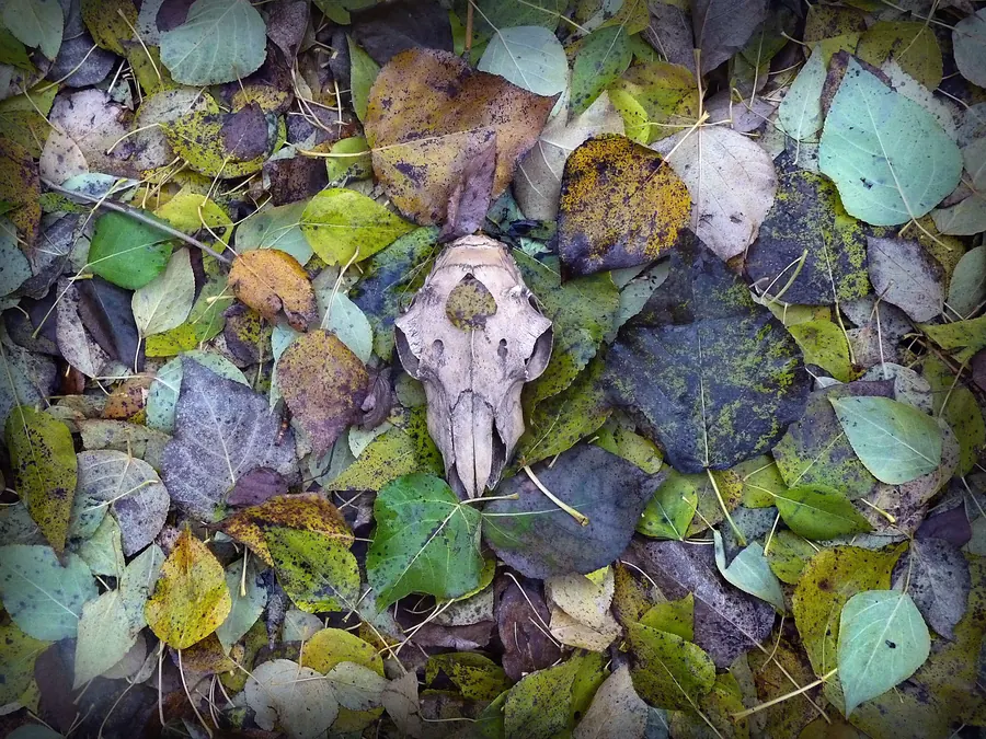 Город, пейзаж, натюрморт — художественная фотография Вячеслава Ларионова (серия «Город и пейзаж», 2016 г.)