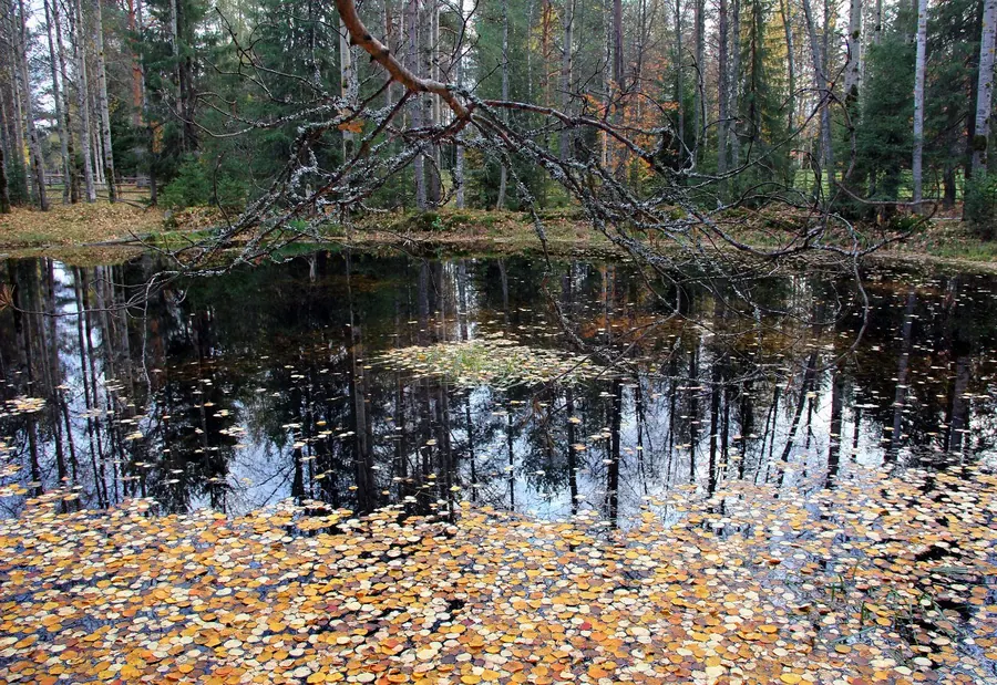 Город, пейзаж, натюрморт — художественная фотография Вячеслава Ларионова (серия «Город и пейзаж», 2016 г.)